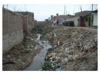 Exposición crustaceos reno