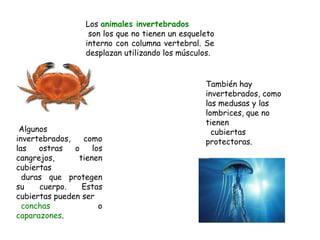 Los animales invertebrados
                   son los que no tienen un esqueleto
                  interno con columna vertebral. Se
                  desplazan utilizando los músculos.


                                                  También hay
                                                  invertebrados, como
                                                  las medusas y las
                                                  lombrices, que no
                                                  tienen
 Algunos                                            cubiertas
invertebrados,   como                             protectoras.
las   ostras   o    los
cangrejos,      tienen
cubiertas
  duras que protegen
su    cuerpo.    Estas
cubiertas pueden ser
  conchas             o
caparazones.
 