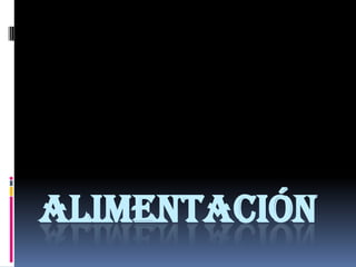 ALIMENTACIÓN
 