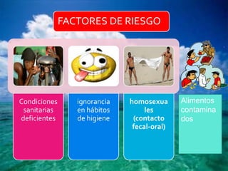FACTORES DE RIESGO




Condiciones      ignorancia   homosexua      Alimentos
 sanitarias      en hábitos        les       contamina
deficientes      de higiene    (contacto     dos
                               fecal-oral)
 