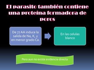 De 77 AA induce la
                                     En las celulas
 salida de Na, K, y
                                        blanco
en menor grado Ca.




       Pero aun no existe evidencia directa
 