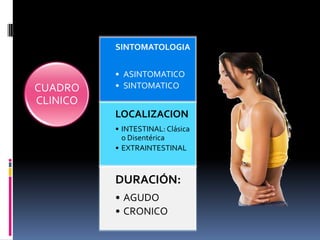 SINTOMATOLOGIA


          • ASINTOMATICO
CUADRO    • SINTOMATICO
CLINICO
          LOCALIZACION
          • INTESTINAL: Clásica
            o Disentérica
          • EXTRAINTESTINAL



          DURACIÓN:
          • AGUDO
          • CRONICO
 
