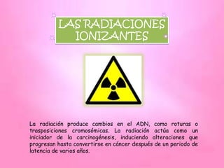 LAS RADIACIONES
            IONIZANTES




La radiación produce cambios en el ADN, como roturas o
trasposiciones cromosómicas. La radiación actúa como un
iniciador de la carcinogénesis, induciendo alteraciones que
progresan hasta convertirse en cáncer después de un periodo de
latencia de varios años.
 