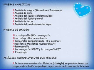 PRUEBAS ANALÍTICAS:

       Análisis de sangre (Marcadores Tumorales)
       Análisis de orina
       Análisis del líquido cefalorraquídeo
       Análisis del líquido pleural
       Análisis de heces
       Análisis del exudado nasofaríngeo

PRUEBAS DE IMAGEN:

       La radiografía (RX): mamografía.
       Las radiografías de contraste
       Tomografía Computarizada (TC o escáner)
       Resonancia Magnética Nuclear (RMN)
       Gammagrafía:
        La tomografía SPECT y la tomografía PET
        Endoscopia

ANÁLISIS MICROSCÓPICO DE LOS TEJIDOS

       Se toma una muestra de células se (citología): se puede obtener por
      raspado de la lesión sospechosa, o por medio de la punción de la lesión.
 