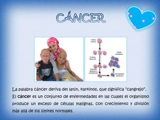 La palabra cáncer deriva del latín, karkinos, que significa “cangrejo”.
El cáncer es un conjunto de enfermedades en las cuales el organismo
produce un exceso de células malignas, con crecimiento y división
más allá de los límites normales.
 