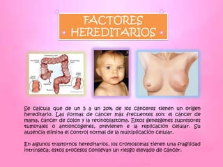 FACTORES
                  HEREDITARIOS




Se calcula que de un 5 a un 20% de los cánceres tienen un origen
hereditario. Las formas de cáncer más frecuentes son: el cáncer de
mama, cáncer de colon y la retinoblastoma. Estos genesgenes supresores
tumorales o antioncogenes, previenen e la replicación celular. Su
ausencia elimina el control normal de la multiplicación celular.

En algunos trastornos hereditarios, los cromosomas tienen una fragilidad
intrínseca; estos procesos conllevan un riesgo elevado de cáncer.
 