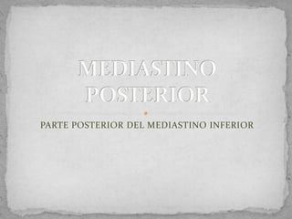 PARTE POSTERIOR DEL MEDIASTINO INFERIOR
 
