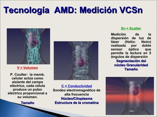Tecnología AMD: Medición VCSn
                                                              Sn = Scatter
                                                         Medición       de     la
                                                         dispersión de luz de
                                                         láser   (Helio-   Neón)
                                                         realizada por doble
                                                         sensor    óptico    que
                                                         permite la lectura en 5
                                                         ángulos de dispersión
                                                            Segmentación del
                                                           núcleo Granularidad
     V = Volumen                                                 Tamaño
  P. Coulter: la memb.
   celular actúa como
   aislante del campo
 eléctrico, cada célula         C = Conductividad
    produce un pulso       Sondeo electromagnético de
eléctrico proporcional a          alta frecuencia
       su volumen.              Núcleo/Citoplasma
       Tamaño               Estructura de la cromatina
 