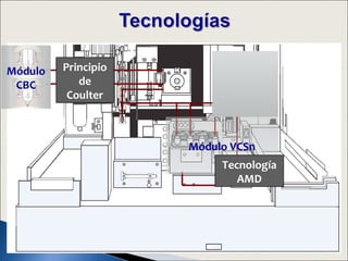 Módulo   Principio
 CBC        de
          Coulter



                     Módulo VCSn
                          Tecnología
                             AMD
 