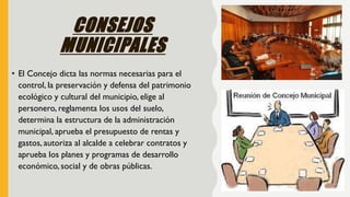 CONSEJOS
MUNICIPALES
• El Concejo dicta las normas necesarias para el
control, la preservación y defensa del patrimonio
ecológico y cultural del municipio, elige al
personero, reglamenta los usos del suelo,
determina la estructura de la administración
municipal, aprueba el presupuesto de rentas y
gastos, autoriza al alcalde a celebrar contratos y
aprueba los planes y programas de desarrollo
económico, social y de obras públicas.
 