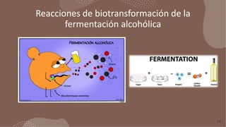 Reacciones de biotransformación de la
fermentación alcohólica
15
 