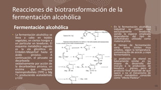 Reacciones de biotransformación de la
fermentación alcohólica
• La fermentación alcohólica se
lleva a cabo en tejidos
vege...