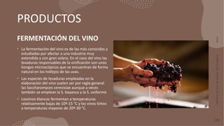 PRODUCTOS
FERMENTACIÓN DEL VINO
• La fermentación del vino es de las más conocidas y
estudiadas por afectar a una industri...