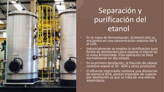 Separación y
purificación del
etanol
• En la masa de fermentación, el etanol sólo se
encuentra en una concentración máxima...