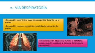 2.-VÍA RESPIRATORIA
 -Exposición subcrónica: exposición repetida durante 1 a 3
meses.
 -Exposición crónica: exposición repetida durante más de 3
meses.
Tras la inhalación de gases y humos, la absorción
cesa en cuanto se separa al paciente del ambiente
contaminado.
 