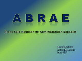 A B R A E Áreas bajo Régimen de Administración Especial Bracho, Víctor Machado, Jorge 9no. “C” 