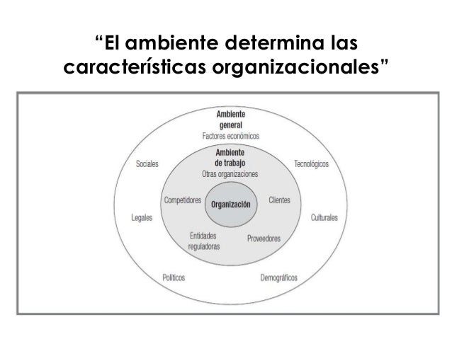 Organizaciones y el ambiente
