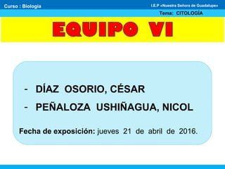 - DÍAZ OSORIO, CÉSAR
- PEÑALOZA USHIÑAGUA, NICOL
Fecha de exposición: jueves 21 de abril de 2016.
Curso : Biología
Tema: CITOLOGÍA
I.E.P «Nuestra Señora de Guadalupe»
 