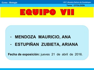 - MENDOZA MAURICIO, ANA
- ESTUPIÑAN ZUBIETA, ARIANA
Fecha de exposición: jueves 21 de abril de 2016.
Curso : Biología
Tema: CITOLOGÍA
I.E.P «Nuestra Señora de Guadalupe»
 