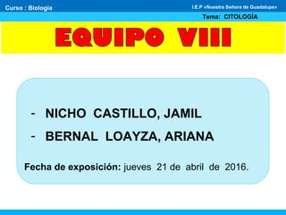 - NICHO CASTILLO, JAMIL
- BERNAL LOAYZA, ARIANA
Fecha de exposición: jueves 21 de abril de 2016.
Curso : Biología
Tema: CITOLOGÍA
I.E.P «Nuestra Señora de Guadalupe»
 