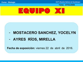 - MOSTACERO SANCHEZ, YOCELYN
- AYRES RÍOS, MIRELLA
Fecha de exposición: viernes 22 de abril de 2016.
Curso : Biología
Tema: CITOLOGÍA
I.E.P «Nuestra Señora de Guadalupe»
 