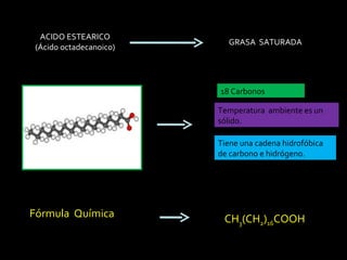 ACIDO ESTEARICO (Ácido octadecanoico) GRASA  SATURADA 18 Carbonos Tiene una cadena hidrofóbica de carbono e hidrógeno. Temperatura  ambiente es un sólido.  Fórmula  Química  CH 3 (CH 2 ) 16 COOH 