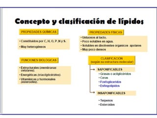 28/10/11 Gloria Maria Mejia Z. 