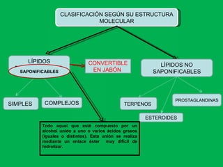 CLASIFICACIÓN SEGÚN SU ESTRUCTURA MOLECULAR LÍPIDOS SAPONIFICABLES  LÍPIDOS NO SAPONIFICABLES SIMPLES   COMPLEJOS TERPENOS   ESTEROIDES PROSTAGLANDINAS CONVERTIBLE EN JABÓN  Todo aquel que esté compuesto por un alcohol unido a uno o varios ácidos grasos (iguales o distintos). Esta unión se realiza mediante un enlace éster  muy difícil de hidrolizar.  SAPONIFICABLES 
