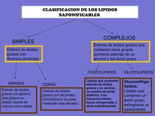 CLASIFICACION DE LOS LIPIDOS SAPONIFICABLES  SIMPLES COMPLEJOS GRASAS CERAS FOSFOLIPIDOS GLUCOLIPIDOS Esteres de ácidos grasos con diversos alcoholes  Esteres de ácidos grasos con glicerol. Una grasos en estado líquido se conoce como aceite. Esteres de ácidos grasos con alcoholes monohídricos de peso molecular más elevado. Ésteres de ácidos grasos que contienen otros grupos químicos además de un alcohol y del ácido graso  Lípidos que contienen además de ácidos grasos y un alcohol, un residuo de ácido fosfórico. Con frecuencia tienen bases nitrogenadas y otros substituyentes. Glucoesfingolípidos:  Lípidos que contienen un ácido graso, esfingosina yo carbohidrats.  