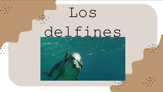 Los
delfines
 