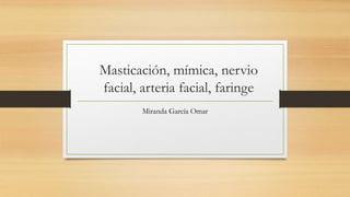 Masticación, mímica, nervio
facial, arteria facial, faringe
Miranda García Omar
 