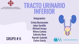 EXPOSICIÓN DE MORFO_ TRACTO URINARIO INFERIOR (GENESIS).pdf