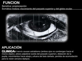 FUNCION
Sensitiva: propiocepción
Somático motora: movimiento del parpado superior y del globo ocular.




APLICACIÓN
CLINICA
Las lesiones del nervio causan estrabismo (ambos ojos no combergen hacia el
mismo objeto), ptosis palpebral (caída del parpado superior), dilatación de la
pupila, movimientos hacia abajo y afuera del lado dañado, perdida de acomodación
para la visión cercana diplopía.
 