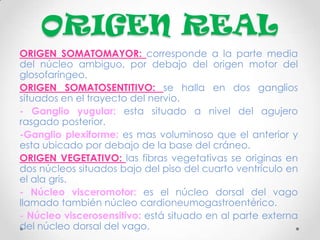 ORIGEN REAL
ORIGEN SOMATOMAYOR: corresponde a la parte media
del núcleo ambiguo, por debajo del origen motor del
glosofaríngeo.
ORIGEN SOMATOSENTITIVO: se halla en dos ganglios
situados en el trayecto del nervio.
- Ganglio yugular: esta situado a nivel del agujero
rasgado posterior.
-Ganglio plexiforme: es mas voluminoso que el anterior y
esta ubicado por debajo de la base del cráneo.
ORIGEN VEGETATIVO: las fibras vegetativas se originas en
dos núcleos situados bajo del piso del cuarto ventrículo en
el ala gris.
- Núcleo visceromotor: es el núcleo dorsal del vago
llamado también núcleo cardioneumogastroentérico.
- Núcleo viscerosensitivo: está situado en al parte externa
del núcleo dorsal del vago.
 
