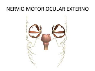 NERVIO MOTOR OCULAR EXTERNO
 