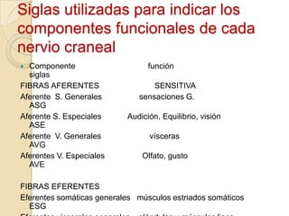 Siglas utilizadas para indicar los
componentes funcionales de cada
nervio craneal
 Componente                     función
  siglas
FIBRAS AFERENTES                  SENSITIVA
Aferente S. Generales         sensaciones G.
  ASG
Aferente S. Especiales     Audición, Equilibrio, visión
  ASE
Aferente V. Generales            vísceras
  AVG
Aferentes V. Especiales        Olfato, gusto
  AVE

FIBRAS EFERENTES
Eferentes somáticas generales músculos estriados somáticos
  ESG
 