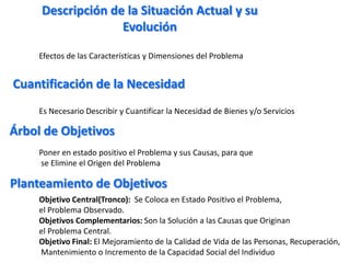 2. Características de proyectos de acciones puntuales para solución de un problema o una necesidad