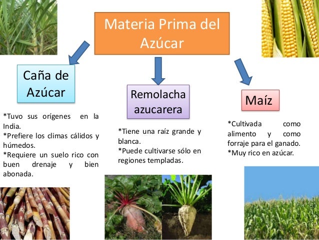 Proceso de elaboración del Azúcar