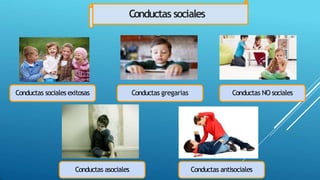 Conductas sociales
Conductas sociales exitosas Conductas gregarias Conductas NO sociales
Conductas asociales Conductas antisociales
 