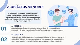 2.-OPIÁCEOS MENORES
Se denominan analgésicos opiáceos aquellos
fármacos cuya acción frente al dolor se produce
gracias a su interacción con los receptores opioides
de las neuronas del sistema nervioso central. Son los
analgésicos más potentes.
01 Autorizado para el tratamiento sintomático del dolor de intensidad leve o
moderada y de la tos improductiva. Tiene efectos adversos en algunos casos.
A. CODEÍNA
02
B. TRAMADOL
Tiene actividad analgésica potente. Se emplea ampliamente para el tratamiento
sintomático del dolor de moderado a intenso asociado a diferentes patologías.
Sobre todo, se utiliza frente a los dolores osteomusculares. Dolores intensos
 