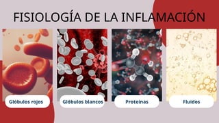 Glóbulos rojos Glóbulos blancos Proteínas Fluidos
FISIOLOGÍA DE LA INFLAMACIÓN
 
