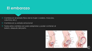 El embarazo
 Cambios en el estado físico de la mujer ( cadera, músculos,
columna, etc.)
 Cambios en su estado emocional
 Todos estos cambios son para adaptarse y poder contener al
bebé y después del parto.

 