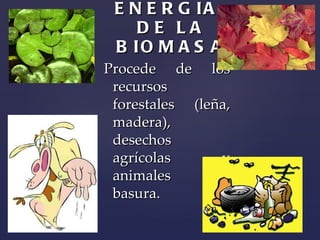 ENERGIA DE LA BIOMASA  Procede de los recursos forestales (leña, madera), desechos agrícolas y animales y basura. 