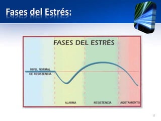 Fases del Estrés:
12
 