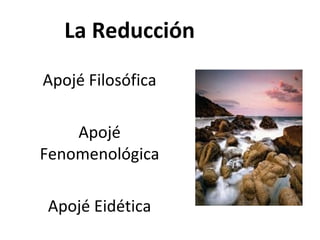 La Reducción Apojé Filosófica Apojé Fenomenológica Apojé Eidética 