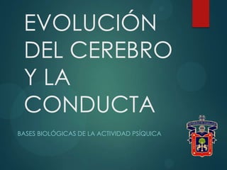 EVOLUCIÓN
DEL CEREBRO
Y LA
CONDUCTA
BASES BIOLÓGICAS DE LA ACTIVIDAD PSÍQUICA
 