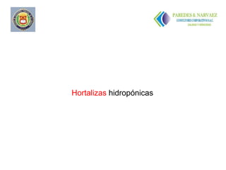 Hortalizas hidropónicas
 