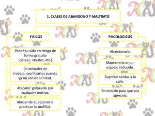 1. CLASES DE ABANDONO Y MALTRATO
FISICOS
Poner su vida en riesgo de
forma gratuita
(peleas, rituales, etc.)
En animales de
trabajo, sacrificarlos cuando
ya no son de utilidad.
Atacarlo: golpearlo por
cualquier motivo.
Abusar de el, (ejercer o
practicar la zoofilia).
PSICOLOGICOS
Abandonarlo
Mantenerlo en un
espacio reducido.
Suprimir salidas a la
calle.
Entrenarlo para que sea
agresivo.
 