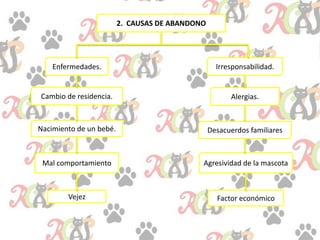 2. CAUSAS DE ABANDONO
Enfermedades. Irresponsabilidad.
Cambio de residencia. Alergias.
Nacimiento de un bebé.
Vejez
Mal comportamiento Agresividad de la mascota
Desacuerdos familiares
Factor económico
 