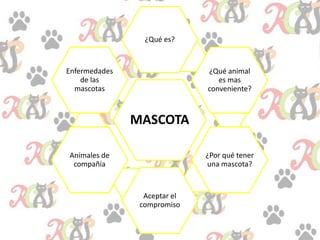 MASCOTA
¿Qué es?
¿Qué animal
es mas
conveniente?
¿Por qué tener
una mascota?
Aceptar el
compromiso
Animales de
compañía
Enfermedades
de las
mascotas
 